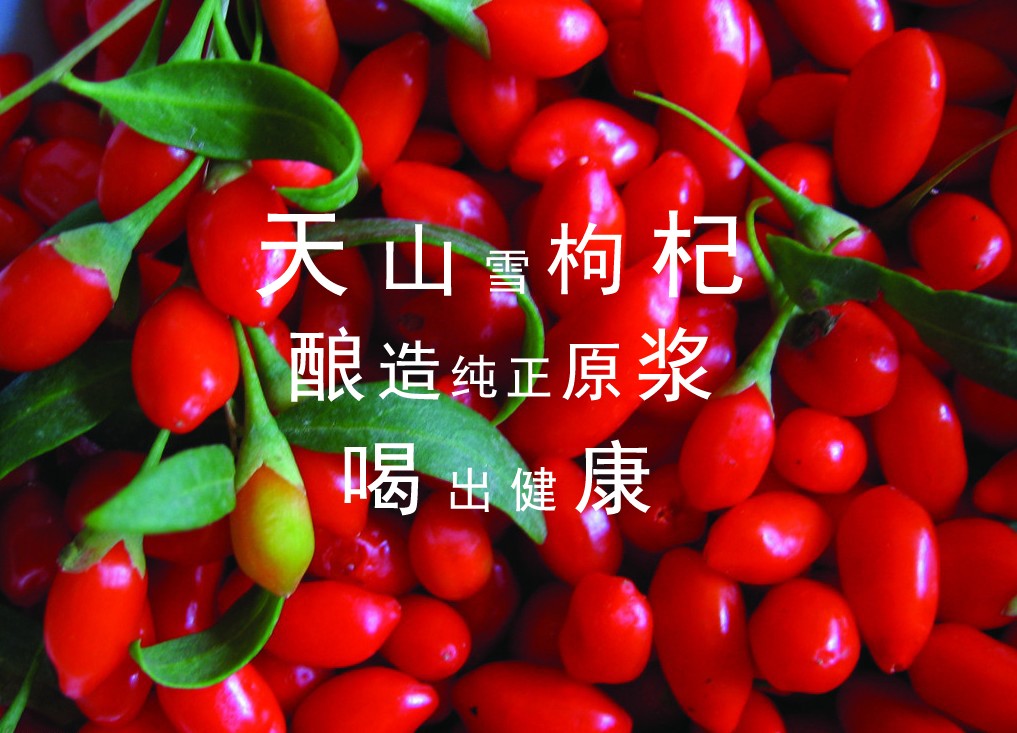 &#20048;&#25237;&#32593;&#39029;&#29256;&#45;&#20048;&#25237;&#65288;&#20013;&#22269;&#65289;
